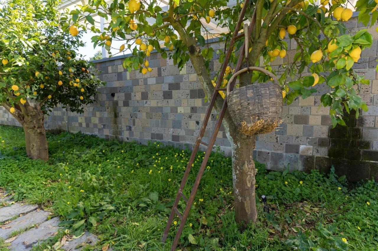 Tenuta Di Leva Πιάνο ντι Σορέντο Εξωτερικό φωτογραφία