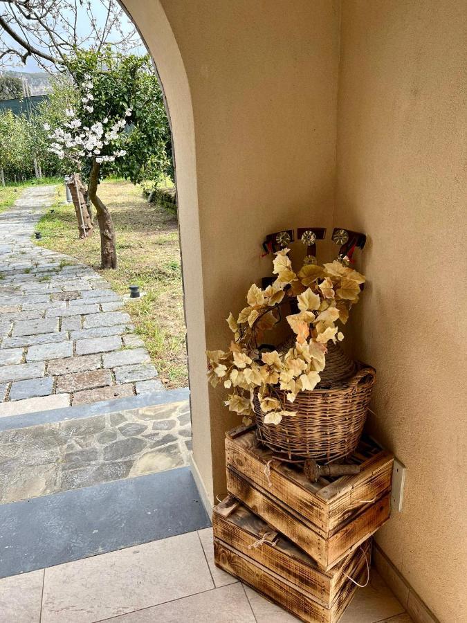 Tenuta Di Leva Πιάνο ντι Σορέντο Εξωτερικό φωτογραφία